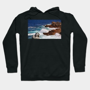 Hercules on the Argonauts Ship Hoodie